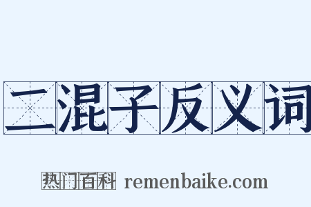 二混子反义词是什么意思的图片